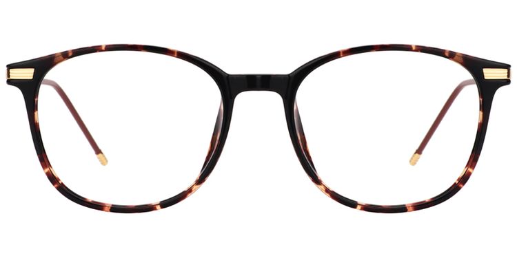 Greene Square Glasses