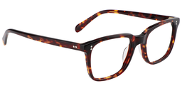 Lamont Rectangle Tortoise Glasses4
