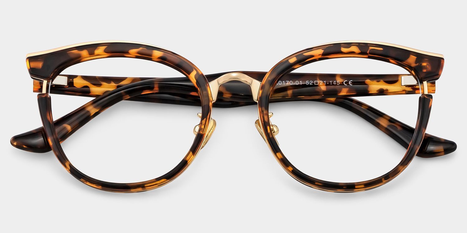 Laraine Cat Eye Tortoises Frame Glasses | ZEELOOL1