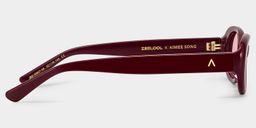 The 90s Red Oval Sunglasses3