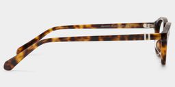Ashby Tortoise Oval Glasses5