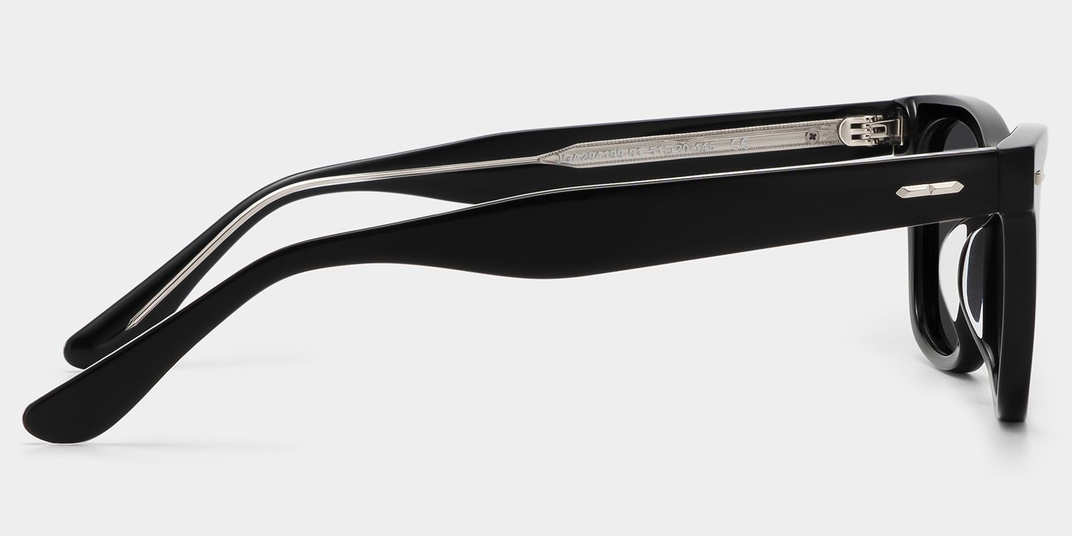Robert Acetate Black Frame Sunglasses | ZEELOOL CA3