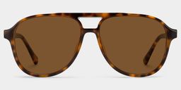 Luna Tortoise Aviator Glasses0