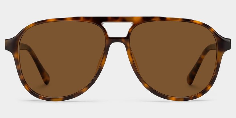 Luna Tortoise Aviator Glasses