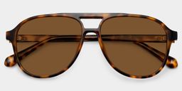 Luna Tortoise Aviator Glasses1