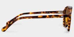 Luna Tortoise Aviator Glasses3