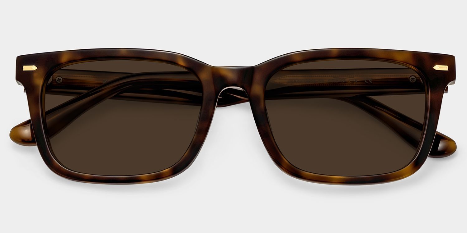 Patrick Tortoise Rectangle Eyeglasses for Men | ZEELOOL1