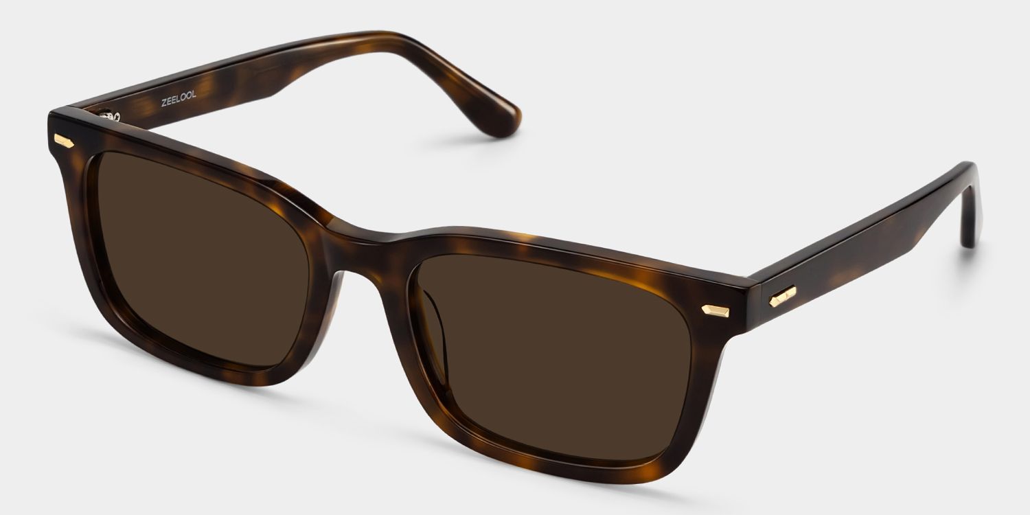 Patrick Tortoise Rectangle Eyeglasses for Men | ZEELOOL2