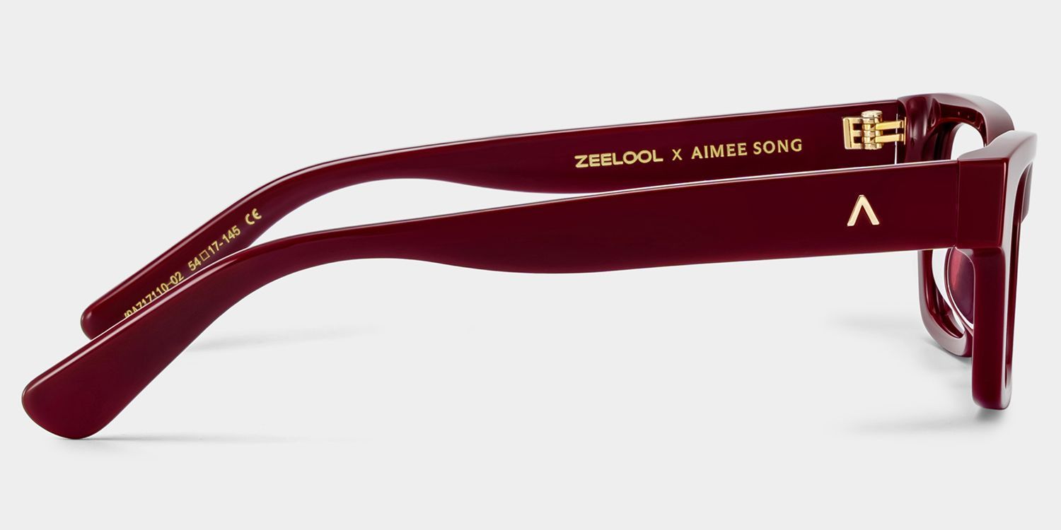 ZEELOOL x Aimee Song The Classic Brown Rectangle Glasses4