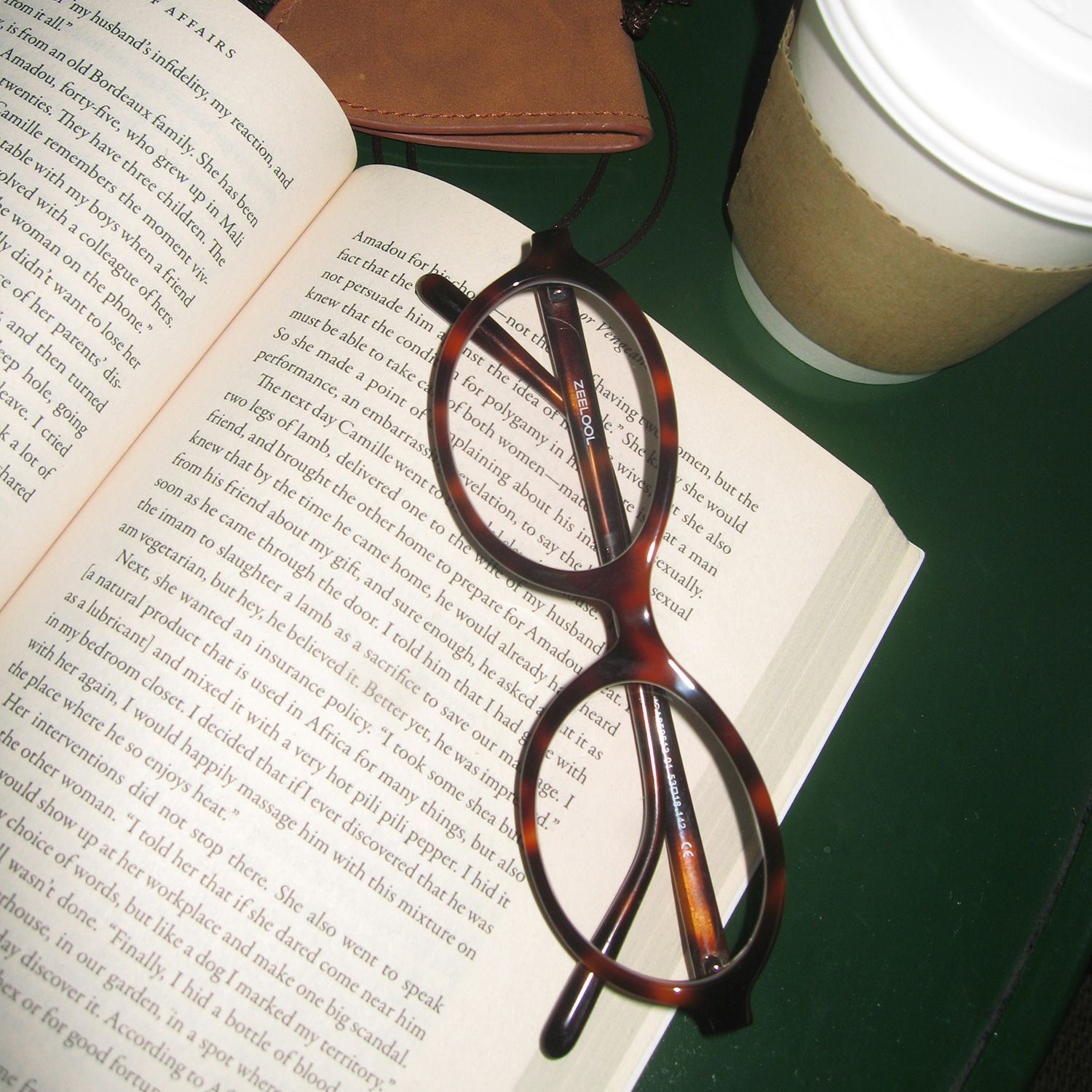 Everly Oval Tortoise Eyeglasses—Acetate Frame Glasses | ZEELOOL3
