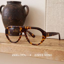 The Aviator Tortoise Aviator Glasses0