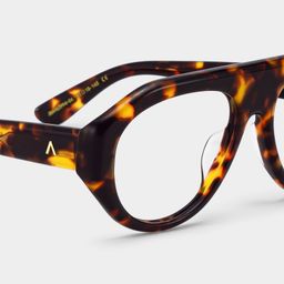 The Aviator Tortoise Aviator Glasses5