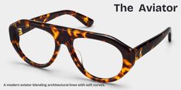 The Aviator Tortoise Aviator Glasses3