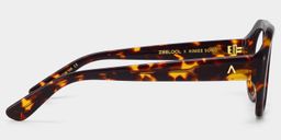 The Aviator Tortoise Aviator Glasses4