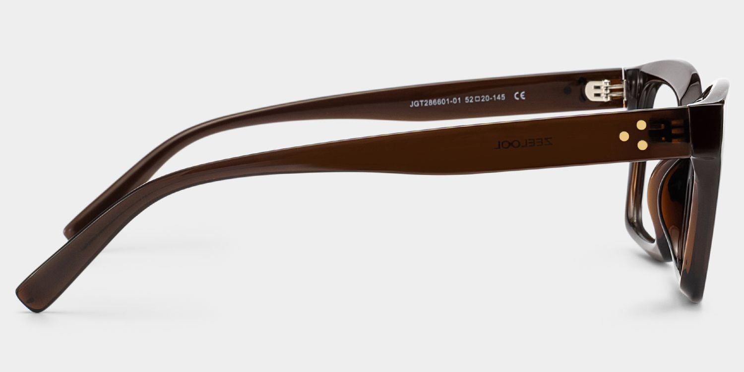 Marley Sepia Glasses / Dark Brown Rectangle Glasses | ZEELOOL4