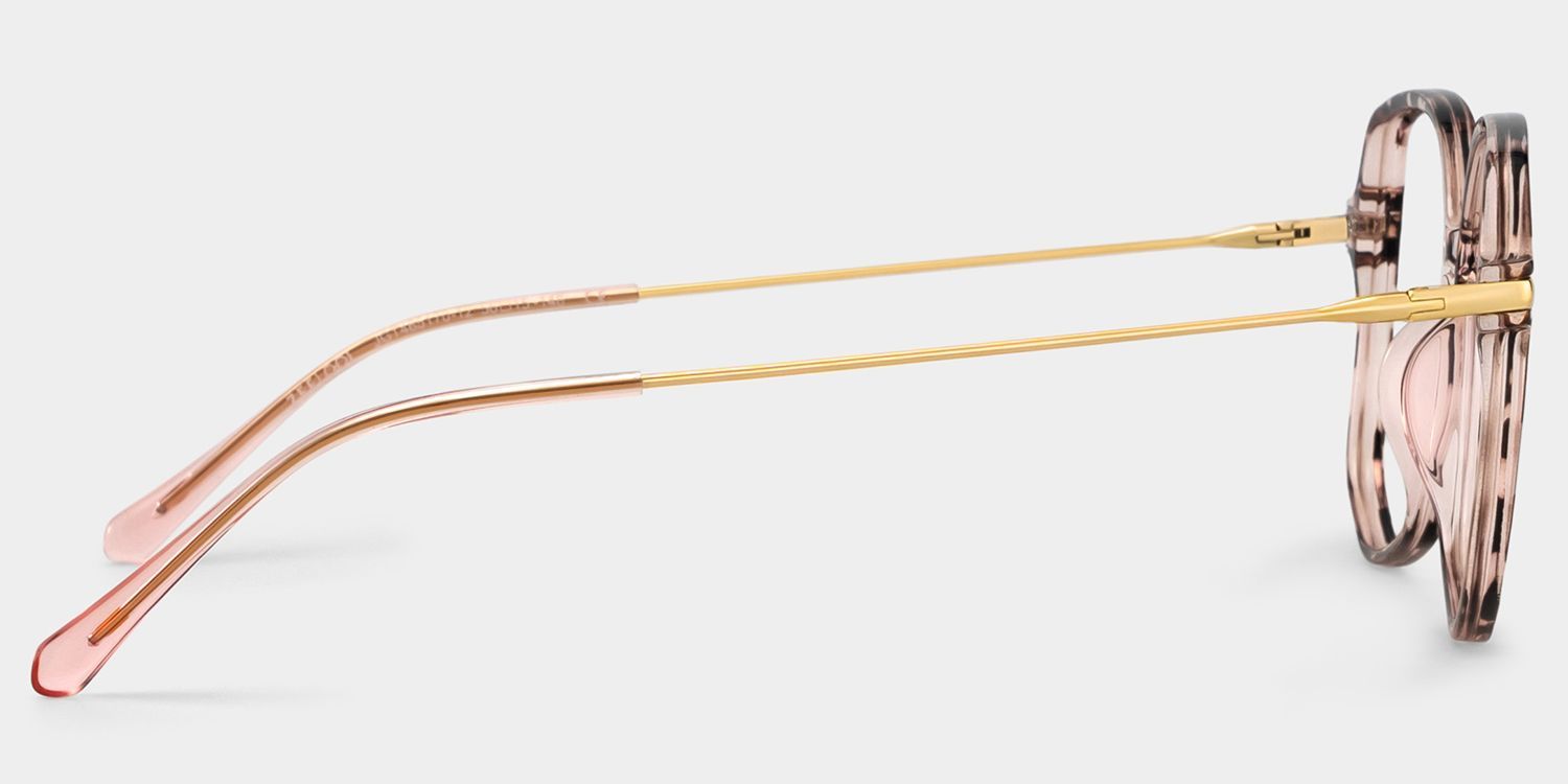 Payton Square Tortoise Color Frame Glasses | ZEELOOL3