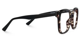 Siner Square Havana Glasses3