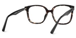 Siner Square Havana Glasses4