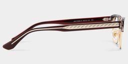 Eden Brown Browline Glasses4