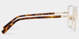 Sophie Clear Geometric Glasses3