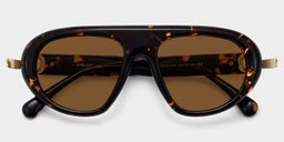 Aveline Tortoise Aviator Glasses1