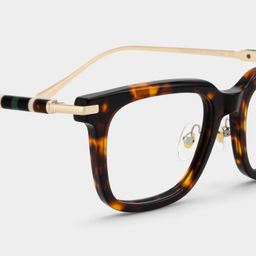 Rayne Tortoise Square Glasses5