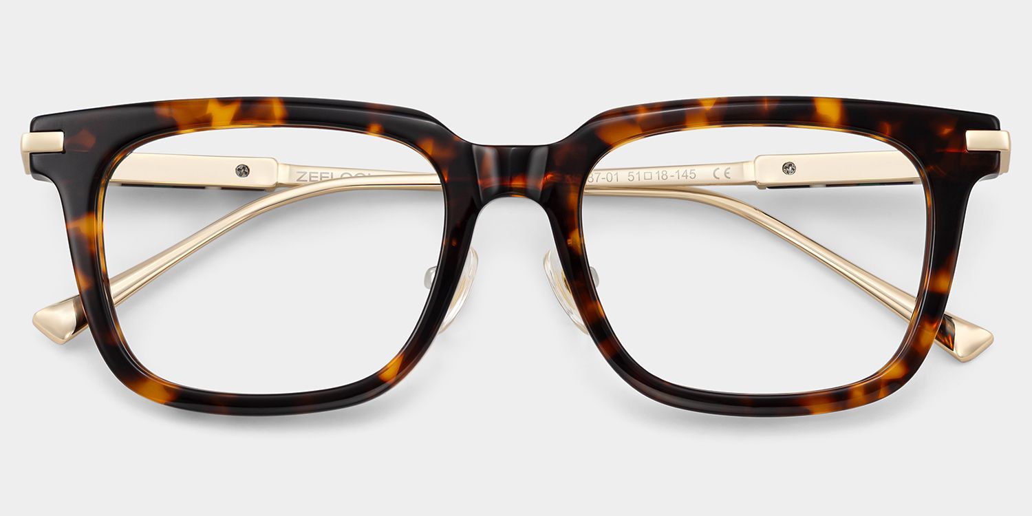 Rayne Square Glasses Eyeglasses in Tortoise Color | ZEELOOL2