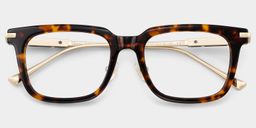 Rayne Tortoise Square Glasses2