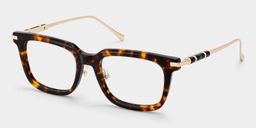 Rayne Tortoise Square Glasses3