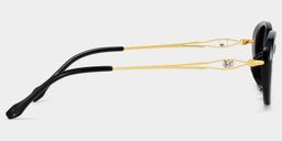 Blaire Black Oval Sunglasses3