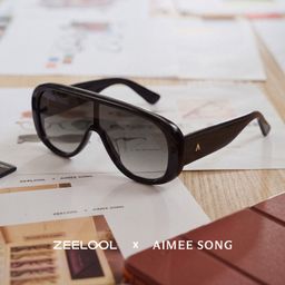 The Shield Black Aviator Sunglasses0