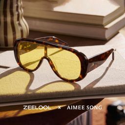 The Shield Tortoise Aviator Sunglasses0