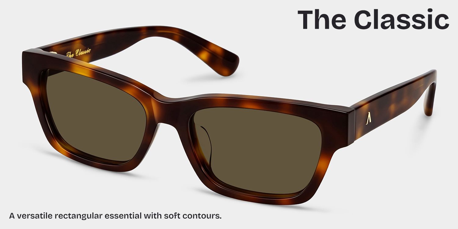 ZEELOOL x Aimee Song The Classic Tortoise Sunglasses3
