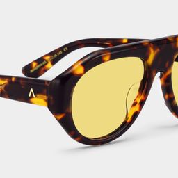 The Aviator Tortoise Aviator Sunglasses5