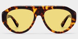 The Aviator Tortoise Aviator Sunglasses1
