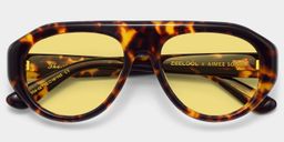 The Aviator Tortoise Aviator Sunglasses2
