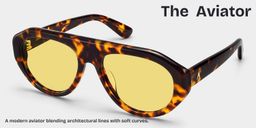 The Aviator Tortoise Aviator Sunglasses3