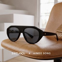 The Aviator Black Aviator Sunglasses0