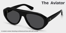The Aviator Black Aviator Sunglasses3