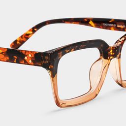 Grover Rectangle Tortoise Glasses4