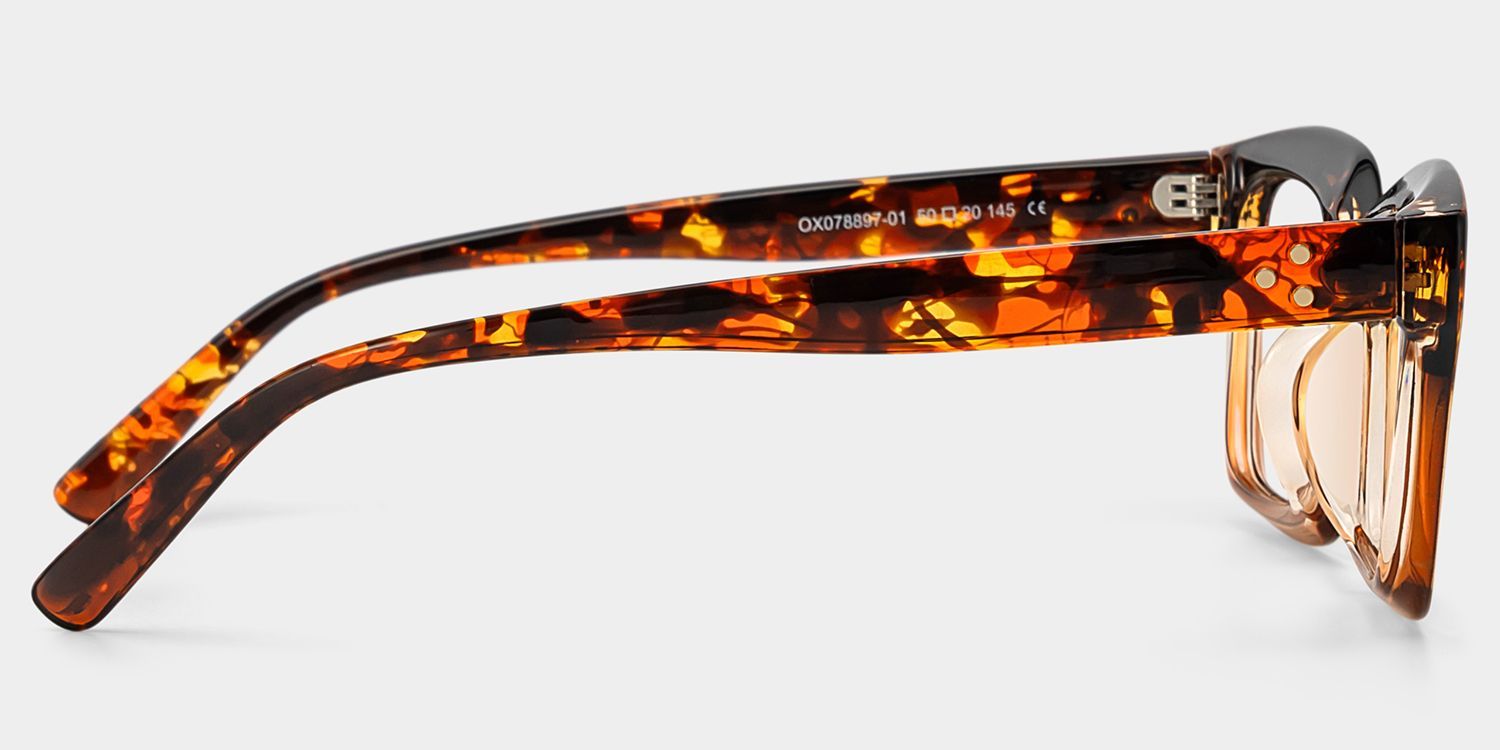 Grover Rectangle Tortoise Eyeglasses and Glasses Frames3