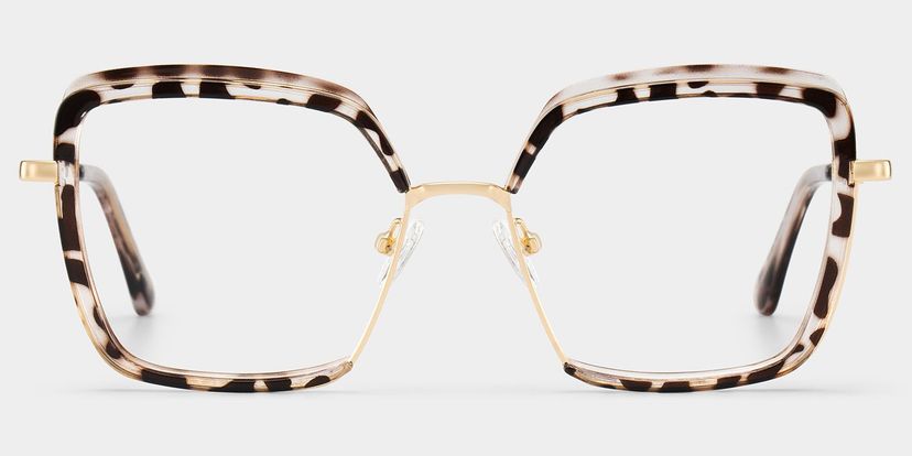 Cordaro Tortoise Square Glasses