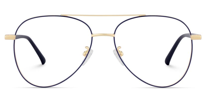 Paige Blue-Gold Aviator Glasses