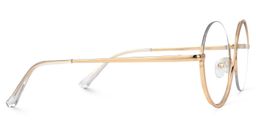 Flozif Round Gold Glasses2